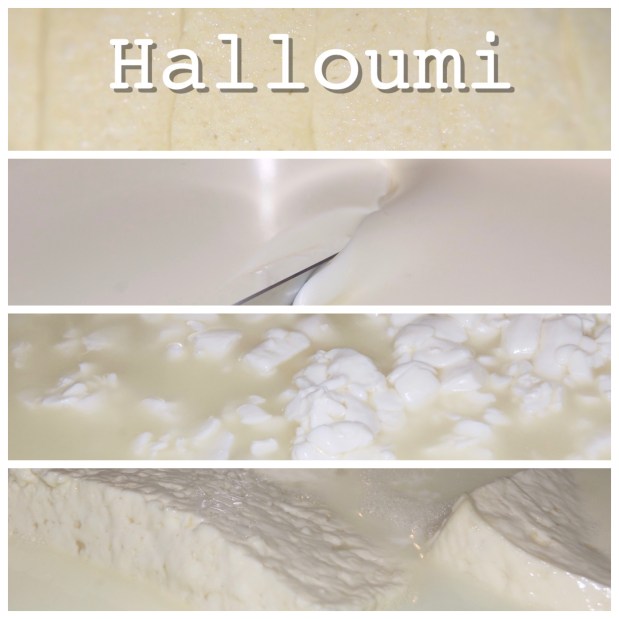 collage-halloumi